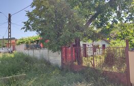 Casă bătrânească cu teren 1200 mp , Mihăița 