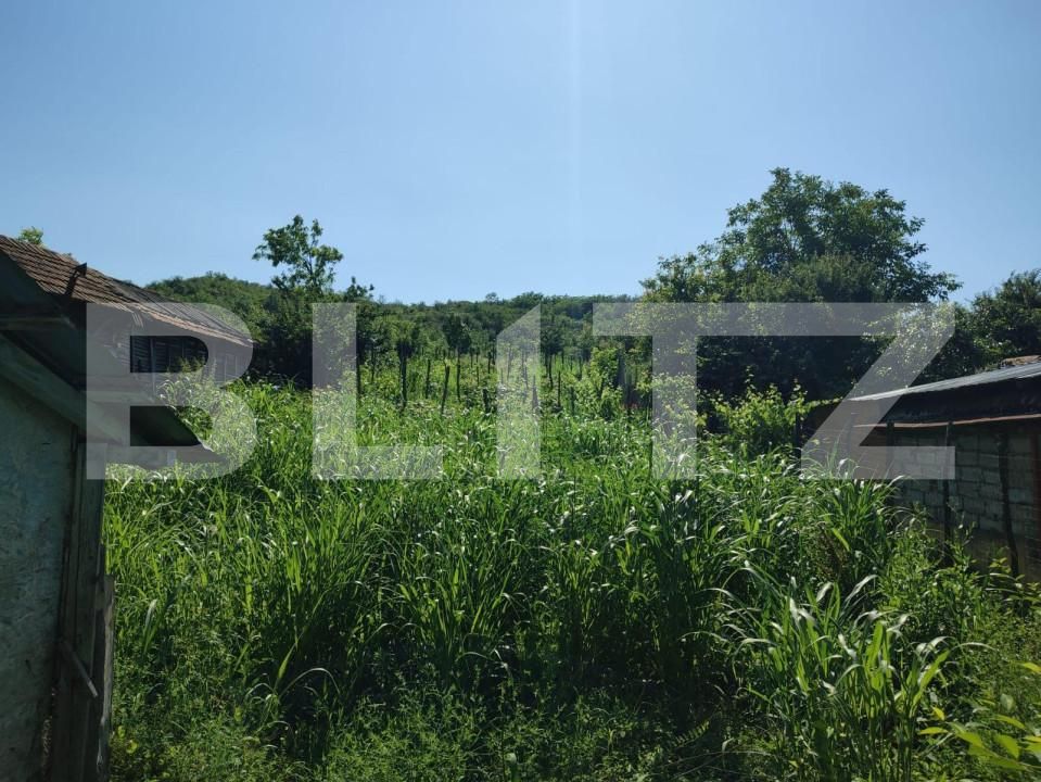 Casa de vânzare 2 camere Exterior Vest - 144010CV | BLITZ Craiova | Poza3