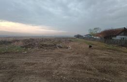 Teren intravilan 7505 mp, zona Aeroport