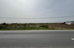 Teren intravilan 10.763 mp, deschidere 97 m la DE79, Brădești