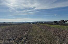 Hală 336 mp pe un teren de 3.000 mp, cu acces din drum asfaltat, Răcari