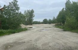 Oportunitate investiție! Teren 6 ha, Craiova, Bulevardu Dacia