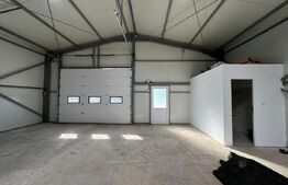 Hală 194 mp utili, platformă betonată 770 mp și teren total de 1.500 mp, Răcari