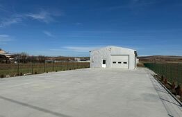Hală 194 mp utili, platformă betonată 770 mp și teren total de 1.500 mp, Răcari