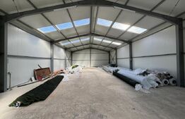 Hală 194 mp utili, platformă betonată 770 mp și teren total de 1.500 mp, Răcari