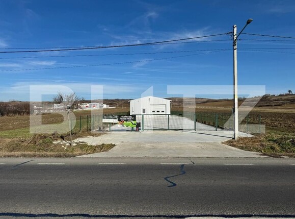 Spațiu industrial de închiriat Exterior Vest - 144382SII | BLITZ Craiova | Poza12