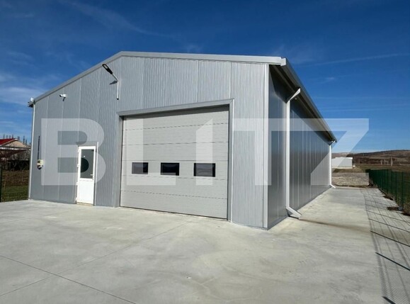 Spațiu industrial de închiriat Exterior Vest - 144382SII | BLITZ Craiova | Poza3