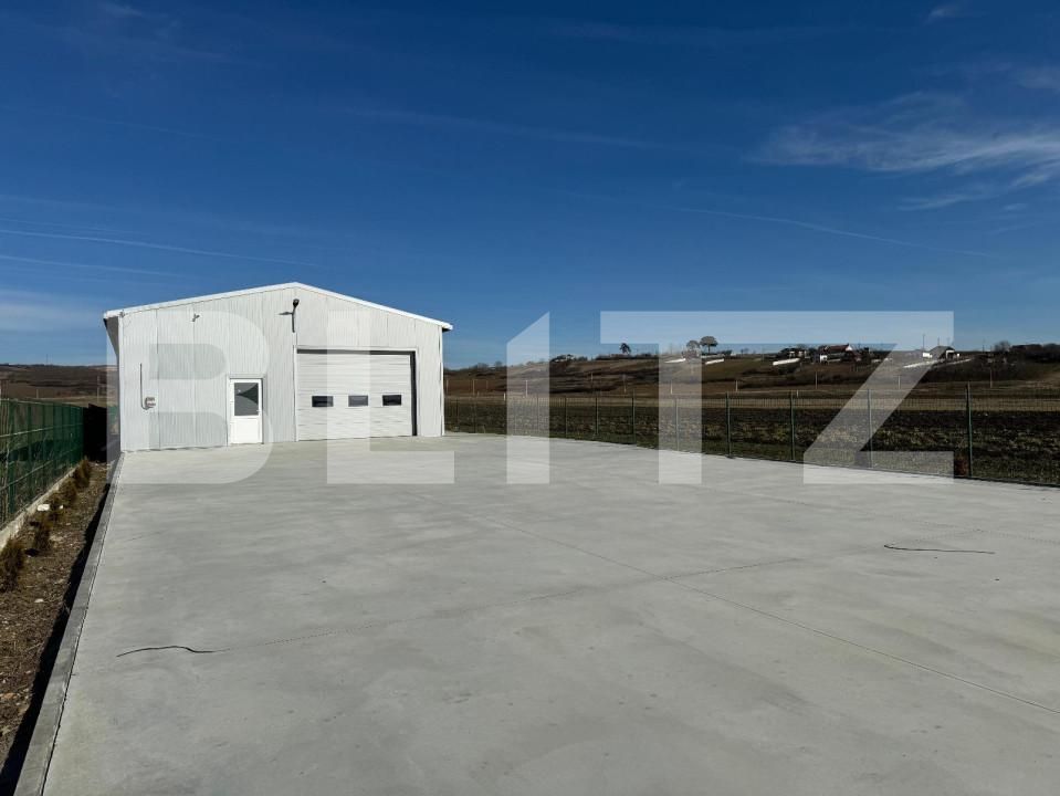 Spațiu industrial de închiriat Exterior Vest - 144382SII | BLITZ Craiova | Poza2