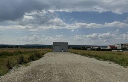 Hală 336 mp pe un teren de 3.000 mp, cu acces din drum asfaltat, Răcari