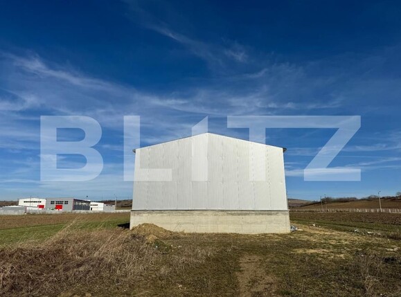 Spațiu industrial de închiriat Exterior Vest - 144385SII | BLITZ Craiova | Poza9