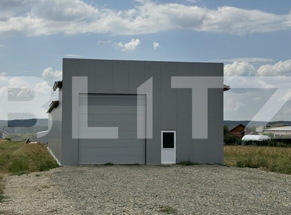 Spațiu industrial de închiriat Exterior Vest - 144385SII | BLITZ Craiova | Poza4