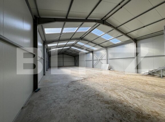 Spațiu industrial de închiriat Exterior Vest - 144385SII | BLITZ Craiova | Poza8