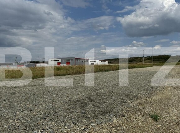Spațiu industrial de închiriat Exterior Vest - 144385SII | BLITZ Craiova | Poza11