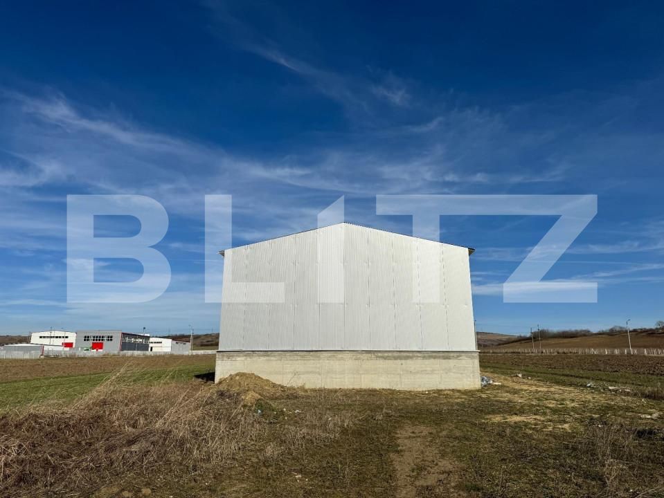 Spațiu industrial de închiriat Exterior Vest - 144385SII | BLITZ Craiova | Poza9