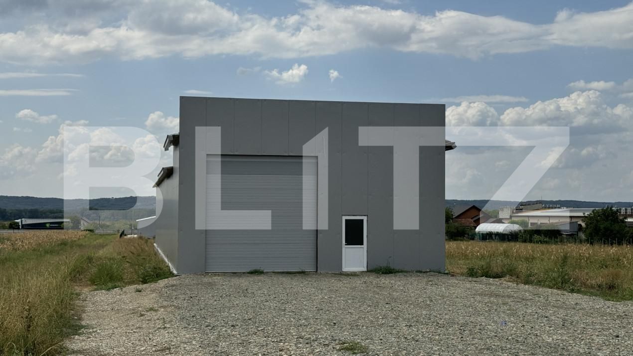 Spațiu industrial de închiriat Exterior Vest - 144385SII | BLITZ Craiova | Poza4