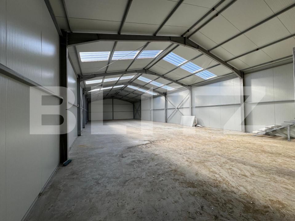 Spațiu industrial de închiriat Exterior Vest - 144385SII | BLITZ Craiova | Poza8