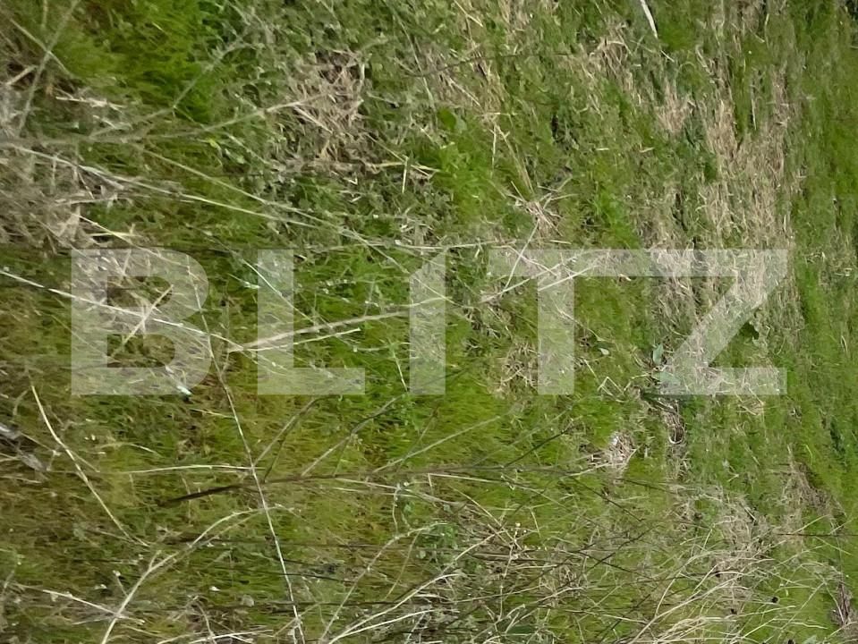 Teren de vânzare Cernele - 144477TV | BLITZ Craiova | Poza2