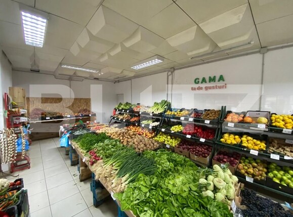 Spațiu comercial de închiriat Craiovita Noua - 144594SIC | BLITZ Craiova | Poza6