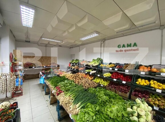 Spațiu comercial de închiriat Craiovita Noua - 144594SIC | BLITZ Craiova | Poza1