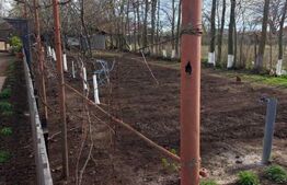 Casa 2 camere, 48 mp, teren, 2200 mp, zona Mischii