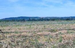 Casa 4 camere, 125 mp, teren, 500 mp, zona Rovine 2 