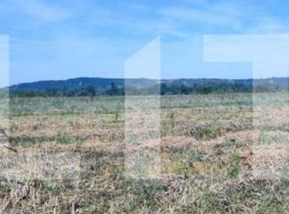 Casa de vânzare 4 camere Nord-Vest - 144856CV | BLITZ Craiova | Poza5