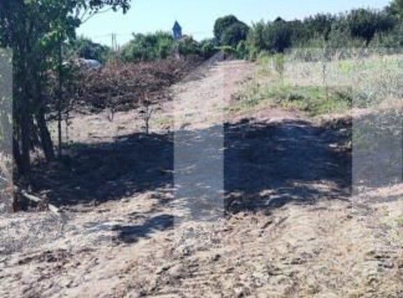 Casa de vânzare 4 camere Nord-Vest - 144856CV | BLITZ Craiova | Poza6