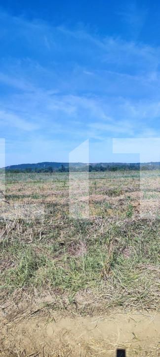 Casa de vânzare 4 camere Nord-Vest - 144856CV | BLITZ Craiova | Poza5