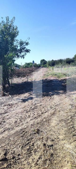 Casa de vânzare 4 camere Nord-Vest - 144856CV | BLITZ Craiova | Poza6