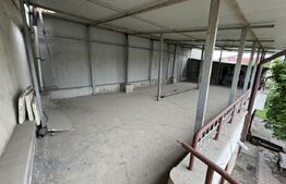 Casa P+1, 197 mp utili, 545 mp teren, zona semi-central