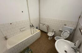 Casa P+1, 197 mp utili, 545 mp teren, zona semi-central