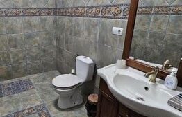 Vila în regim P+1, 380 mp², pretabilă spații de birouri,  zona Consul Rompetrol