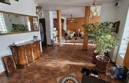 Vila în regim P+1, 380 mp², pretabilă spații de birouri,  zona Consul Rompetrol