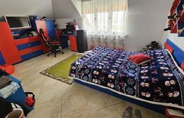 Vila în regim P+1, 380 mp², pretabilă spații de birouri,  zona Consul Rompetrol