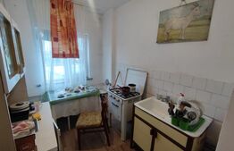 Apartament de 2 camere, etajul 3, zona Parcul Nicolae Romanescu