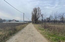 Teren extravilan agricol 5792 mp Popoveni