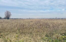 Teren extravilan agricol 5792 mp Popoveni