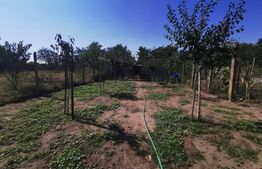  Casă individuală de 105 mp utili, 781 mp teren, terasa, strada Brestei