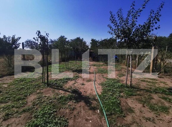 Casa de vânzare 3 camere Brestei - 145947CV | BLITZ Craiova | Poza14