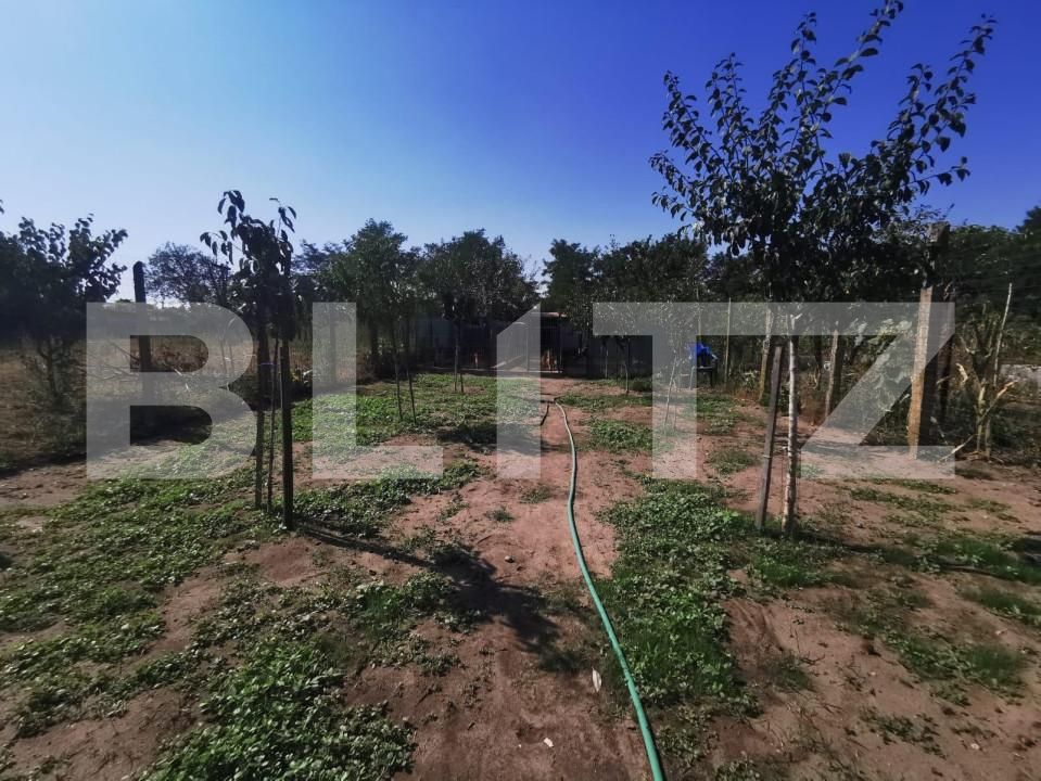 Casa de vânzare 3 camere Brestei - 145947CV | BLITZ Craiova | Poza14