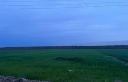 Teren cu posibilitate de trecere in intravilan, 5000 mp, Bucovăț Palilula 