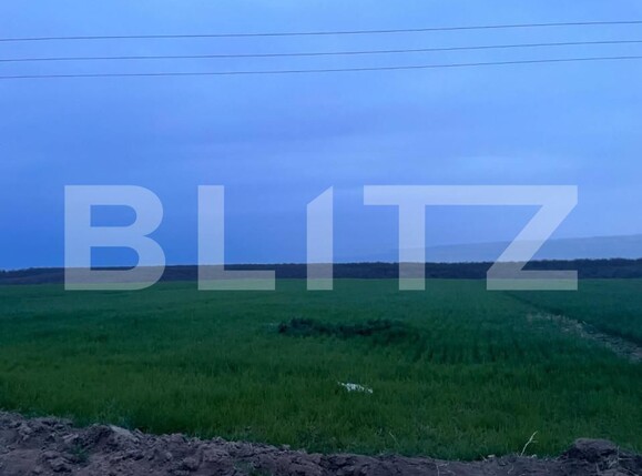 Teren de vânzare Bucovat - 145951TV | BLITZ Craiova | Poza1