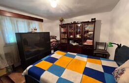 Casă pe parter de 173 mp si 1980 mp teren, Brădești!