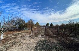 Casă pe parter de 173 mp si 1980 mp teren, Brădești!