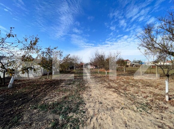 Casa de vânzare 5 camere Vest - 145962CV | BLITZ Craiova | Poza4