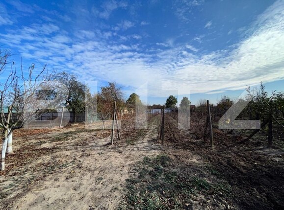 Casa de vânzare 5 camere Vest - 145962CV | BLITZ Craiova | Poza5