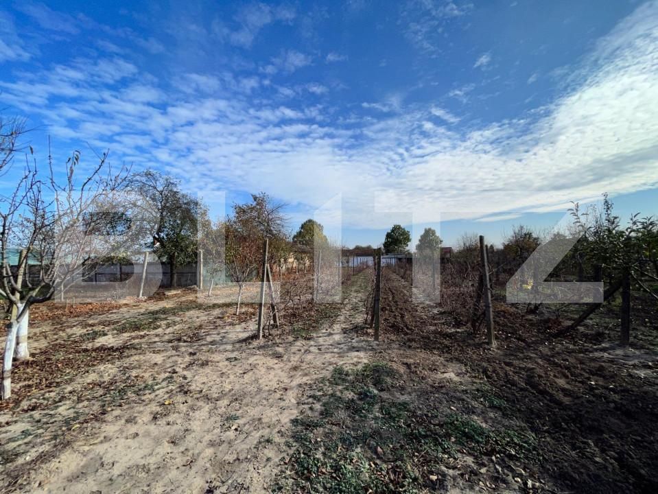 Casa de vânzare 5 camere Vest - 145962CV | BLITZ Craiova | Poza5