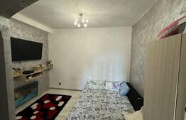 Garsoniera Calea Severinului