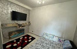 Garsoniera Calea Severinului