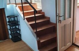 Casa 5 camere, 250 mp, Brestei